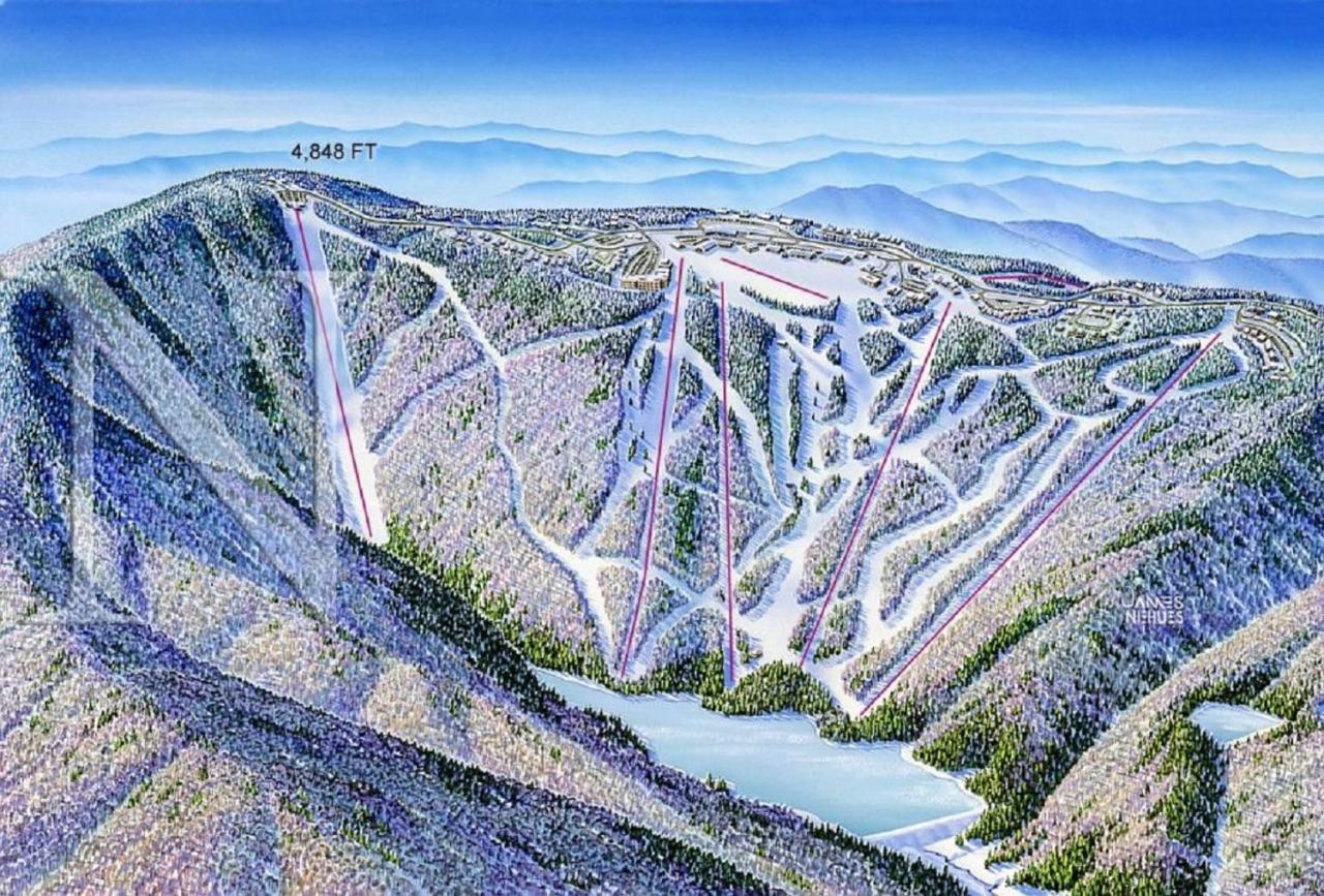 Stroll To Slopes, Village Area, Ski In-Out Mtlodge 151 Snowshoe Eksteriør billede